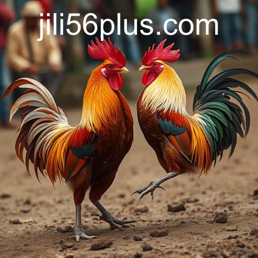 Exploring the Controversial World of Cockfighting and the Rise of JiLi56